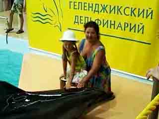 صور Gelendzhik Dolphinarium ألحيوَانَات